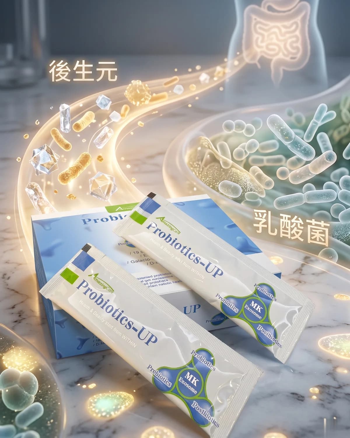 腸道菌相-面面菌到乳酸菌Probiotics UP
